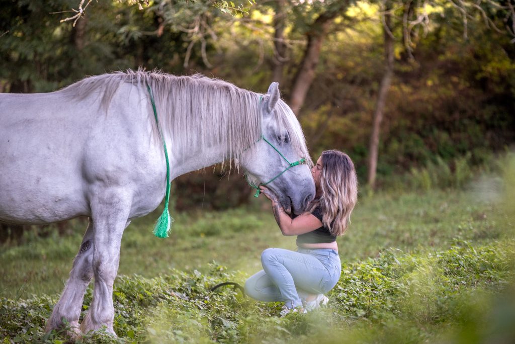 Photographe animalier équestre à Clermont-Ferrand